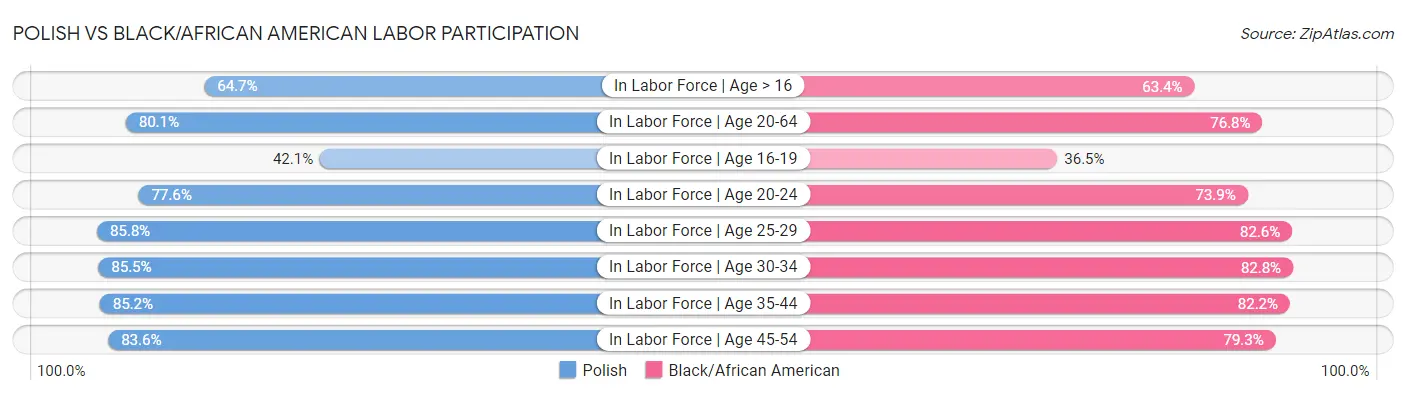 Polish vs Black/African American Labor Participation