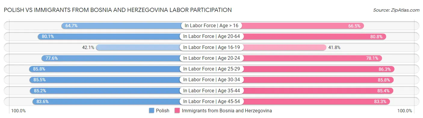 Polish vs Immigrants from Bosnia and Herzegovina Labor Participation