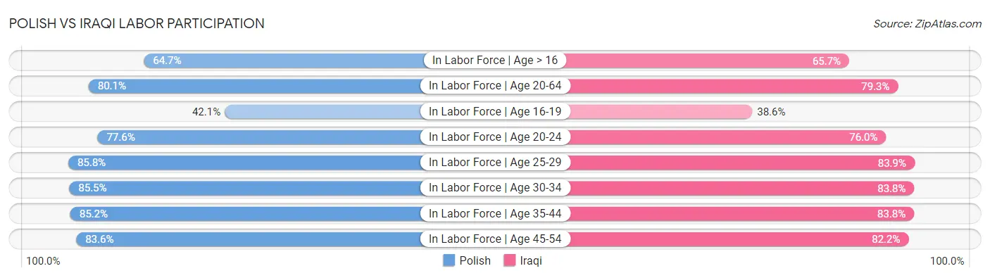 Polish vs Iraqi Labor Participation