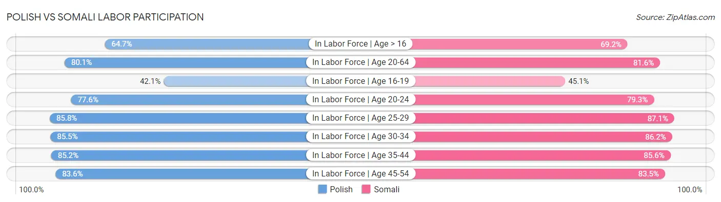 Polish vs Somali Labor Participation