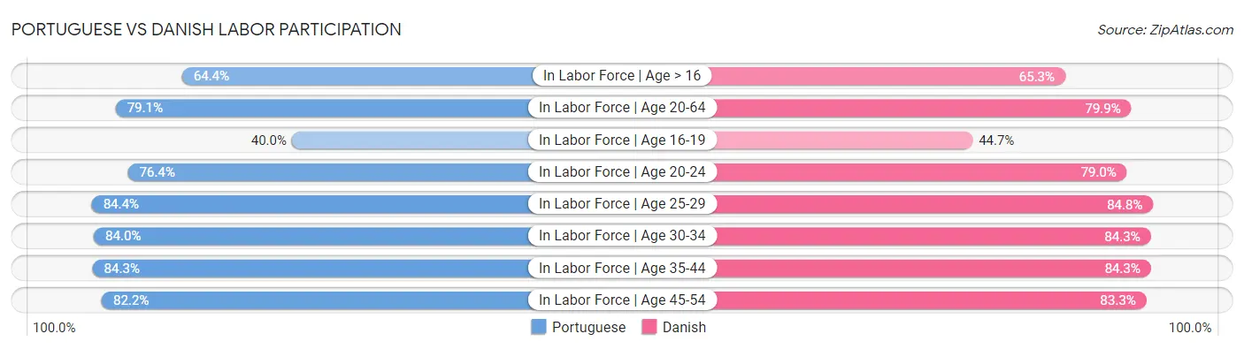 Portuguese vs Danish Labor Participation