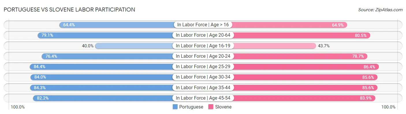 Portuguese vs Slovene Labor Participation