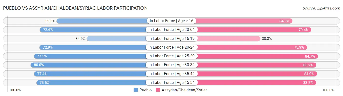 Pueblo vs Assyrian/Chaldean/Syriac Labor Participation