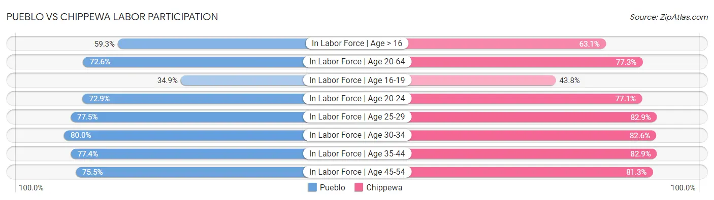 Pueblo vs Chippewa Labor Participation