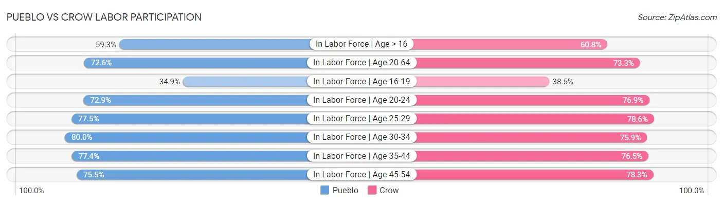 Pueblo vs Crow Labor Participation