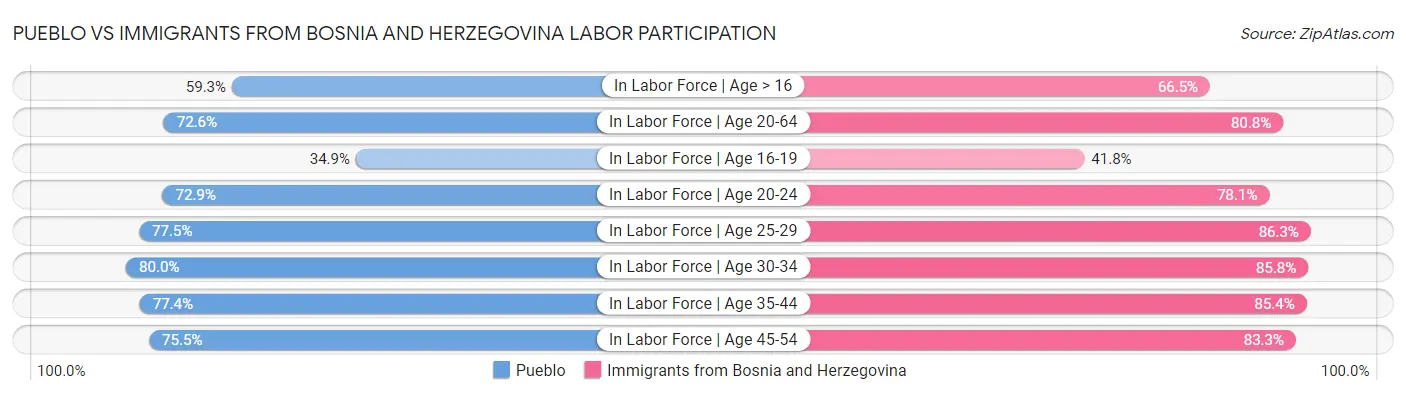 Pueblo vs Immigrants from Bosnia and Herzegovina Labor Participation