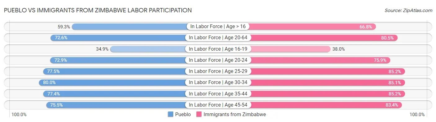 Pueblo vs Immigrants from Zimbabwe Labor Participation