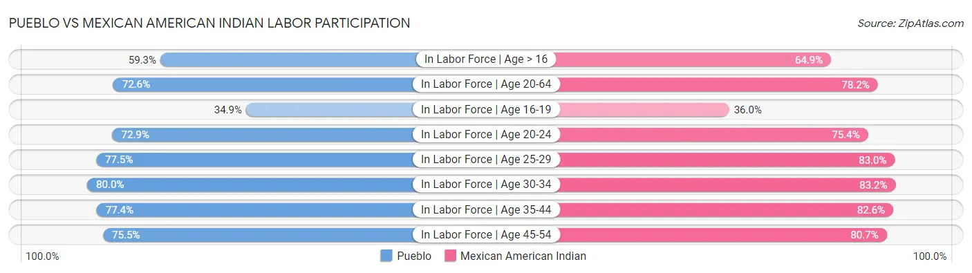 Pueblo vs Mexican American Indian Labor Participation