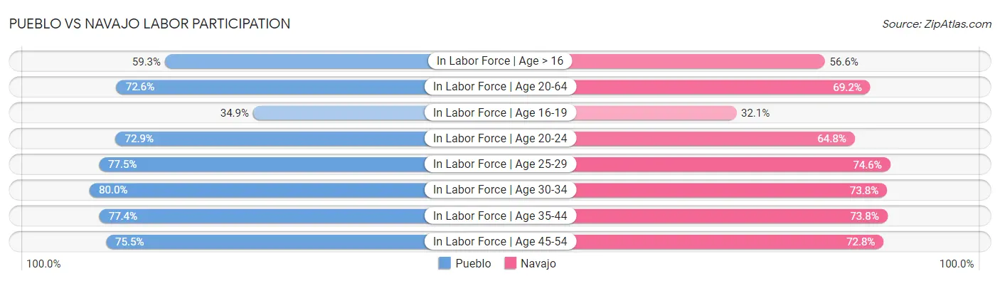 Pueblo vs Navajo Labor Participation