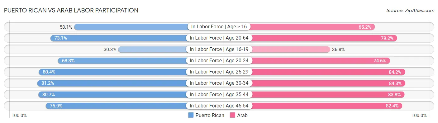 Puerto Rican vs Arab Labor Participation