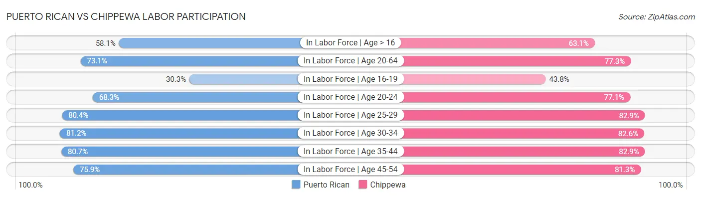 Puerto Rican vs Chippewa Labor Participation