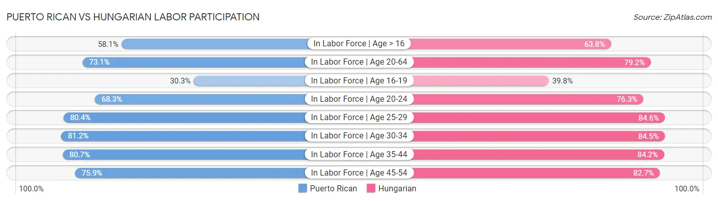 Puerto Rican vs Hungarian Labor Participation