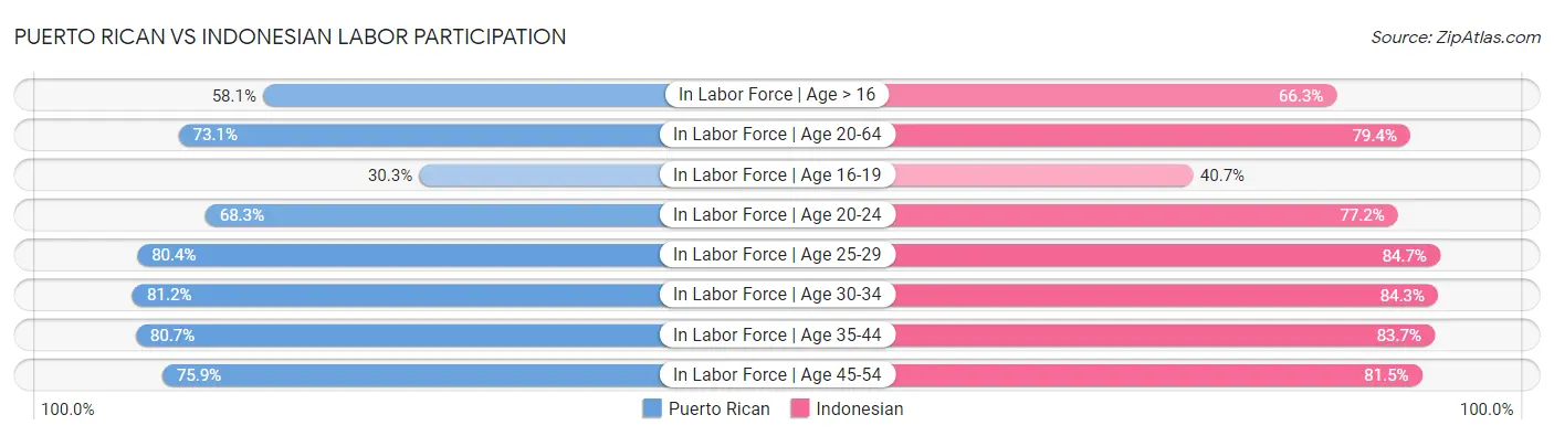 Puerto Rican vs Indonesian Labor Participation