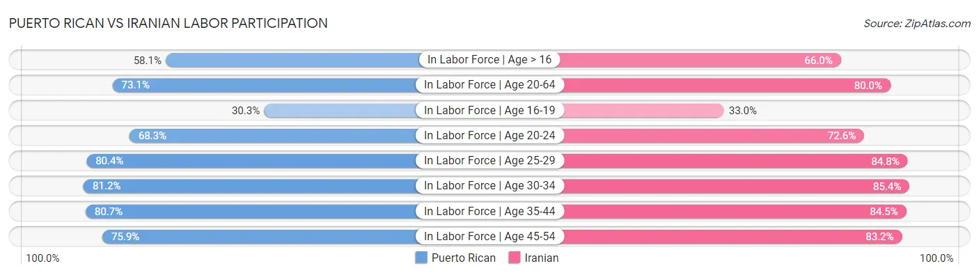 Puerto Rican vs Iranian Labor Participation
