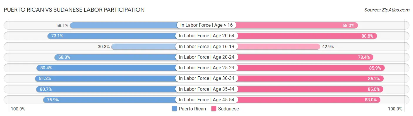Puerto Rican vs Sudanese Labor Participation