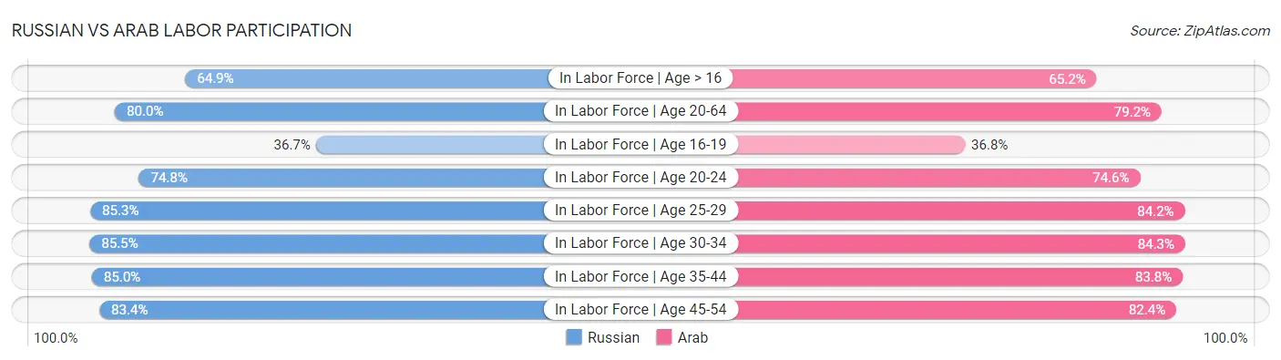 Russian vs Arab Labor Participation