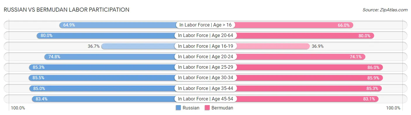 Russian vs Bermudan Labor Participation