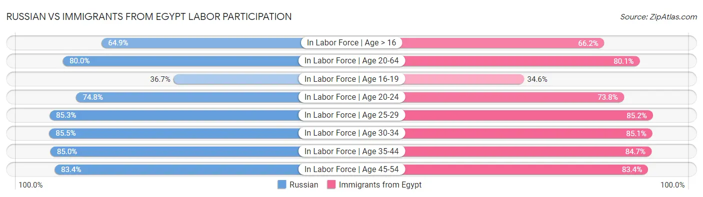 Russian vs Immigrants from Egypt Labor Participation