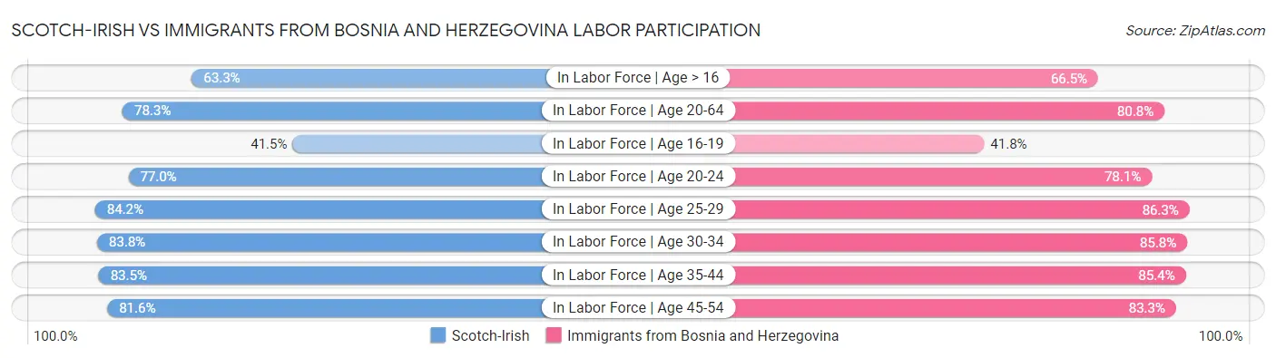 Scotch-Irish vs Immigrants from Bosnia and Herzegovina Labor Participation