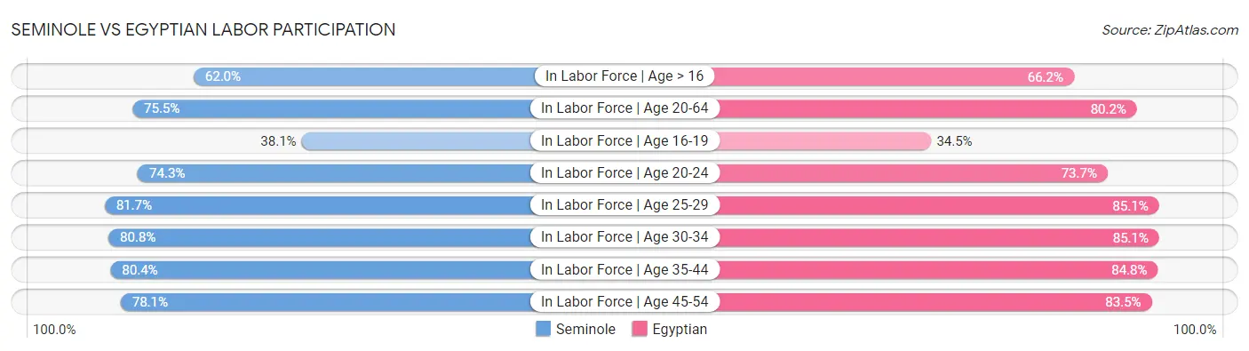 Seminole vs Egyptian Labor Participation