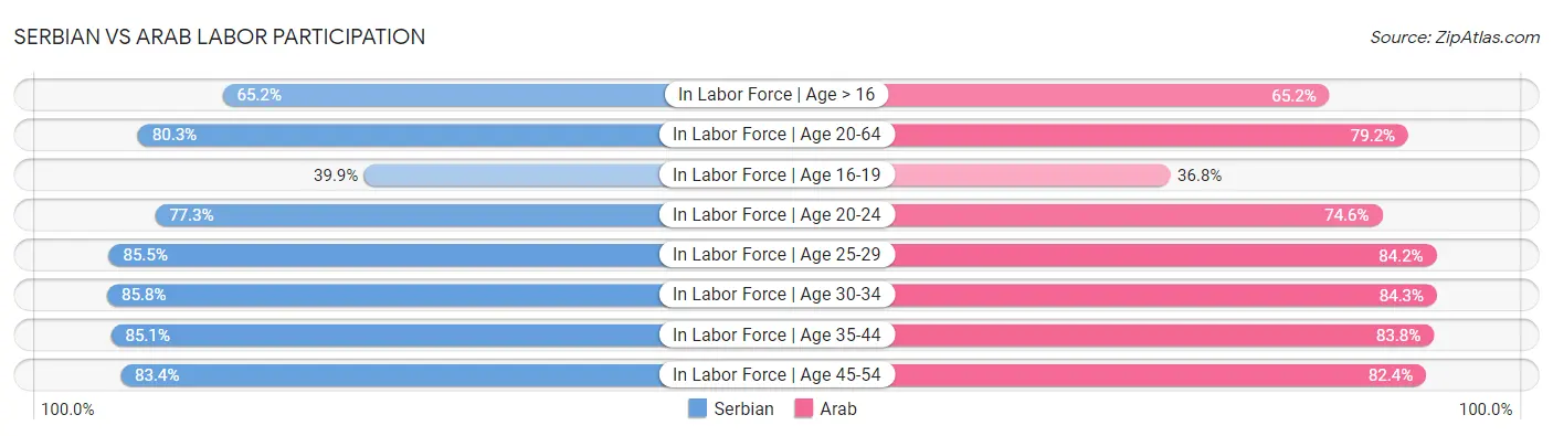 Serbian vs Arab Labor Participation