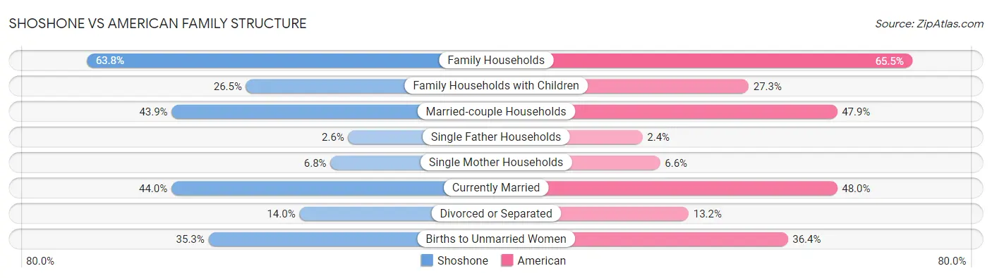 Shoshone vs American Family Structure