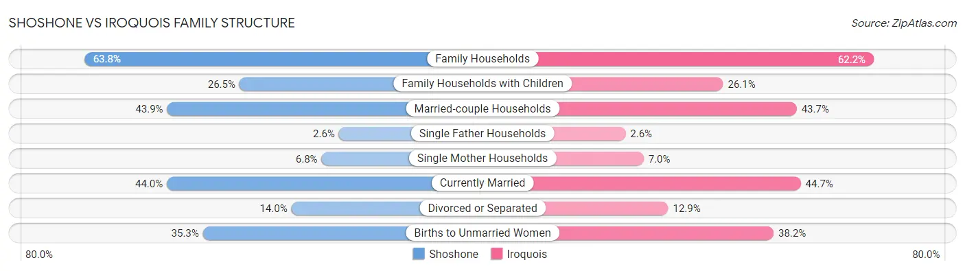 Shoshone vs Iroquois Family Structure