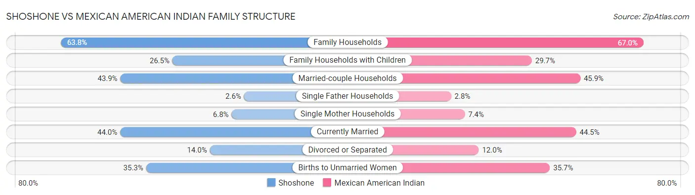 Shoshone vs Mexican American Indian Family Structure