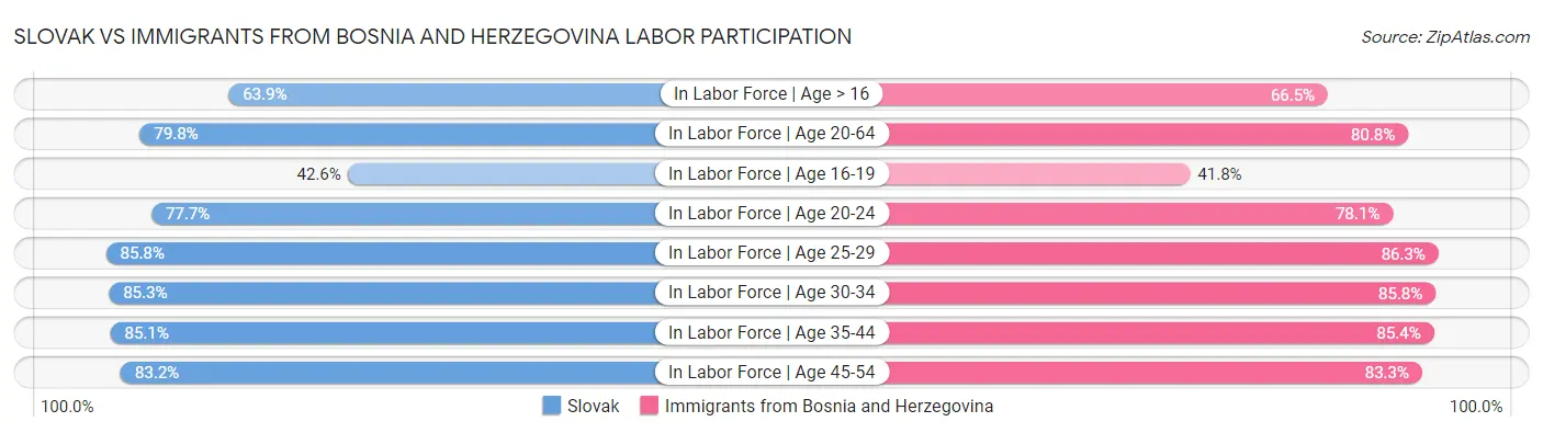 Slovak vs Immigrants from Bosnia and Herzegovina Labor Participation