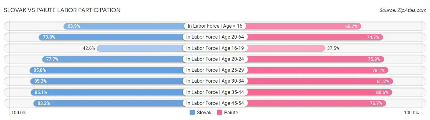 Slovak vs Paiute Labor Participation