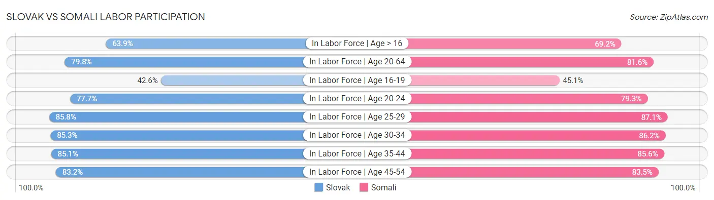 Slovak vs Somali Labor Participation