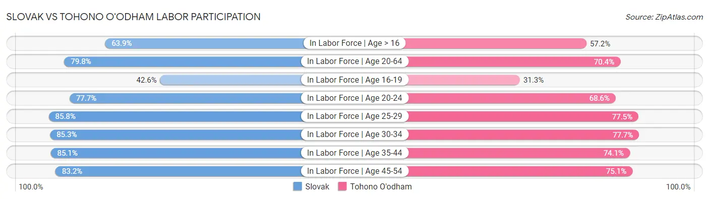 Slovak vs Tohono O'odham Labor Participation
