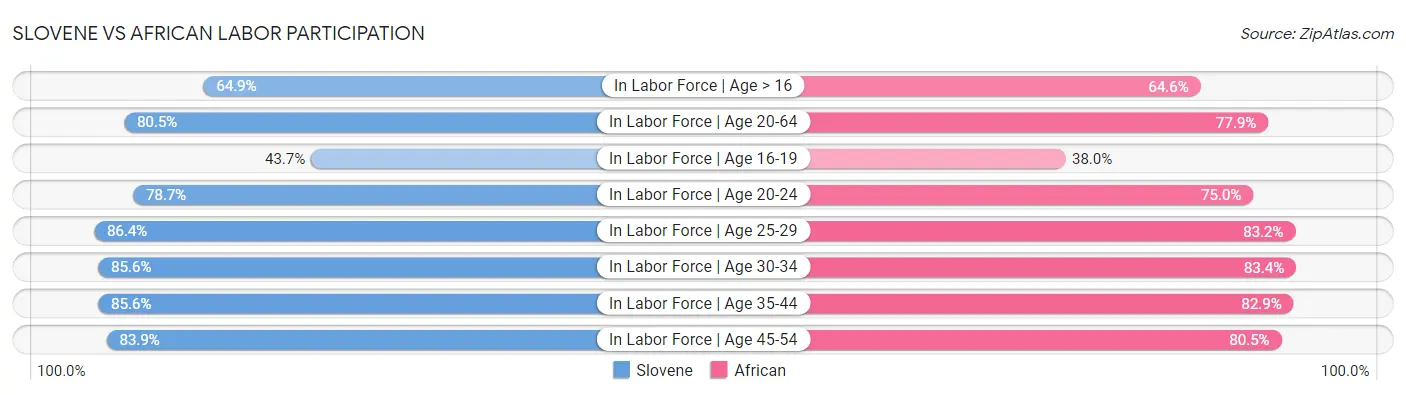 Slovene vs African Labor Participation