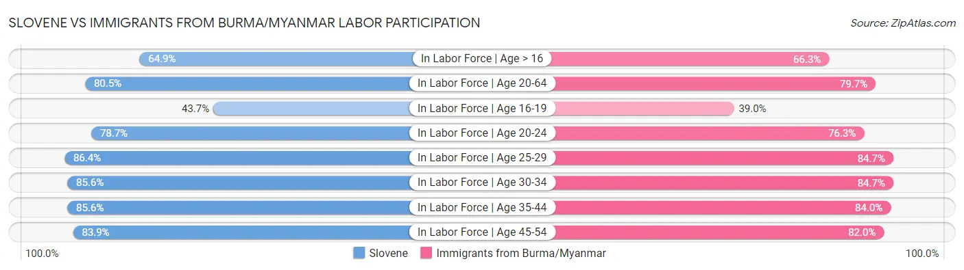 Slovene vs Immigrants from Burma/Myanmar Labor Participation