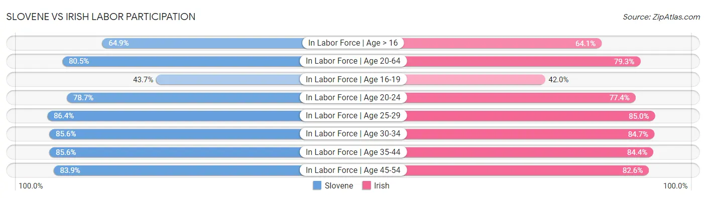 Slovene vs Irish Labor Participation
