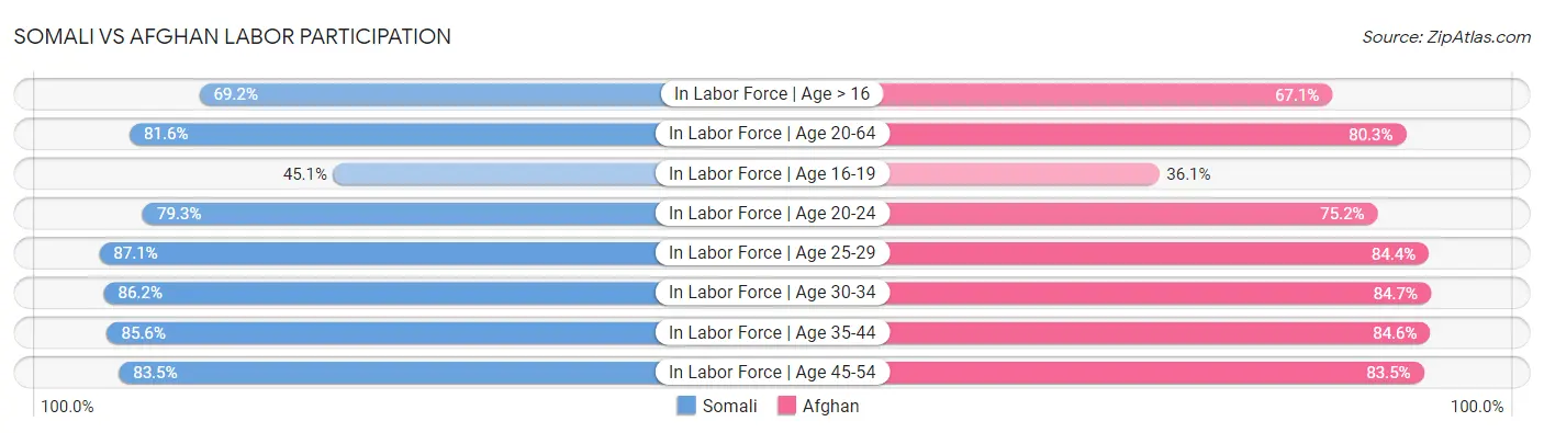 Somali vs Afghan Labor Participation