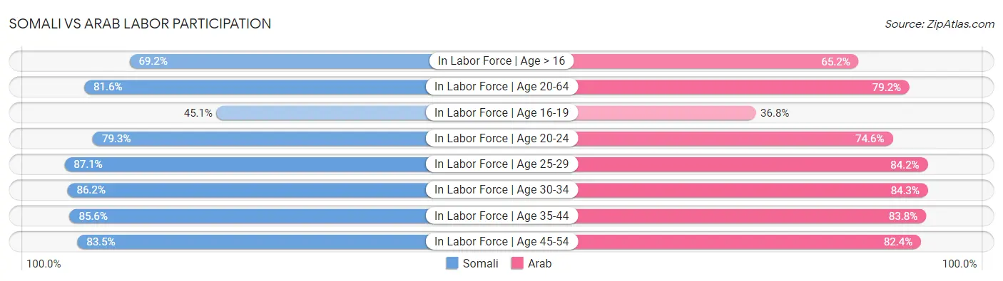 Somali vs Arab Labor Participation