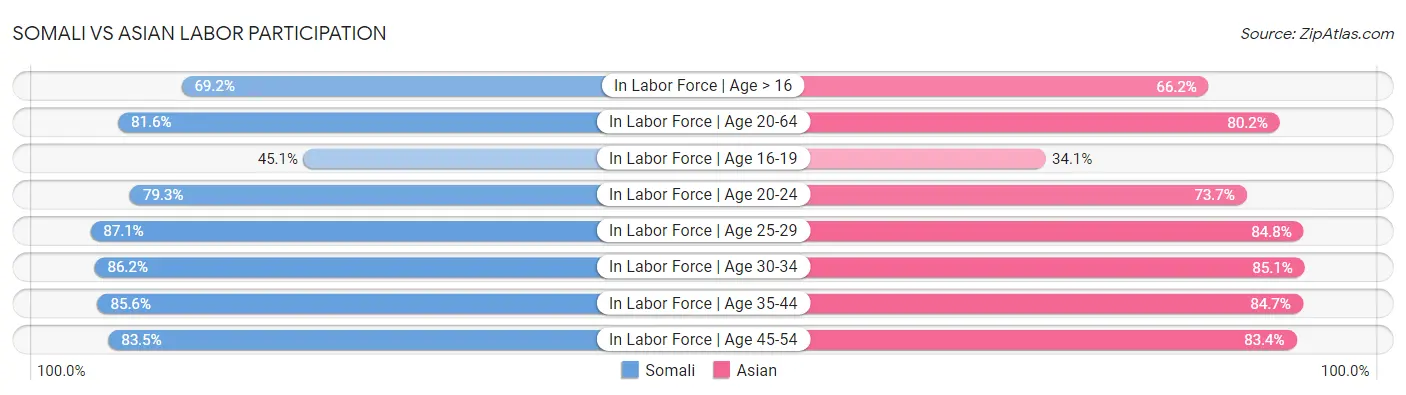 Somali vs Asian Labor Participation