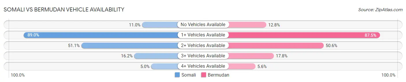 Somali vs Bermudan Vehicle Availability