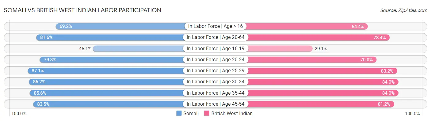 Somali vs British West Indian Labor Participation