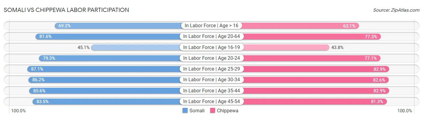 Somali vs Chippewa Labor Participation