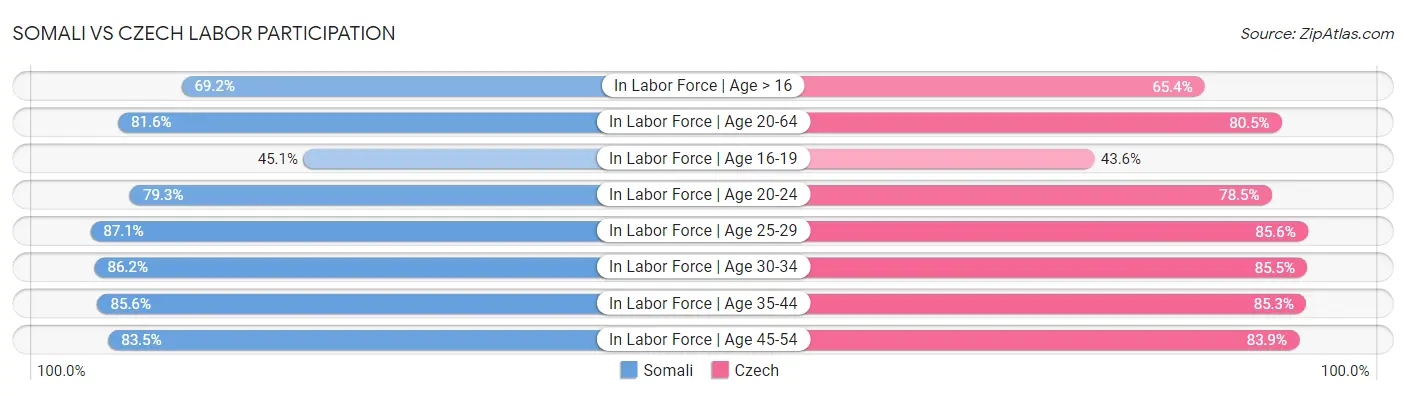 Somali vs Czech Labor Participation
