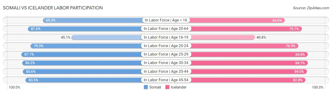 Somali vs Icelander Labor Participation