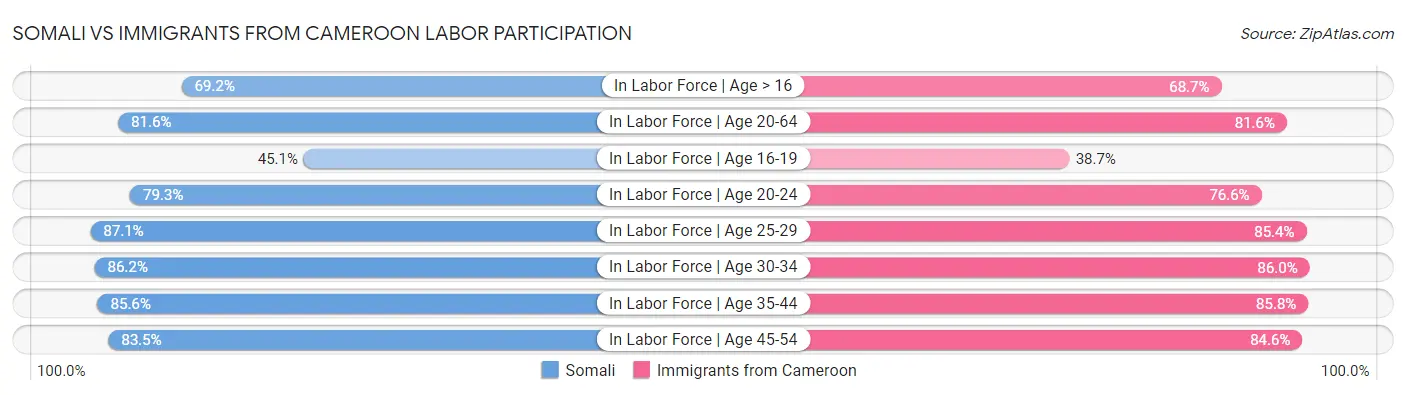 Somali vs Immigrants from Cameroon Labor Participation