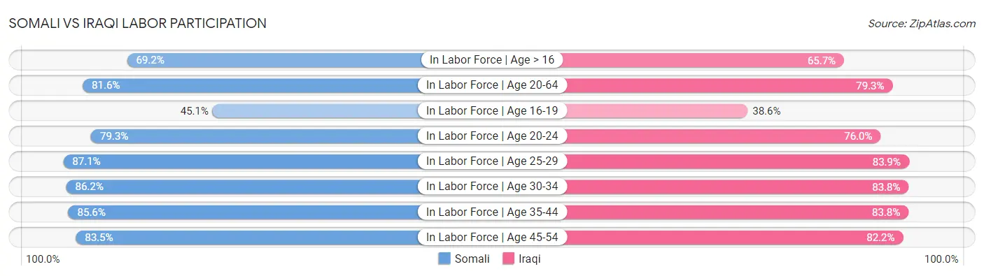 Somali vs Iraqi Labor Participation