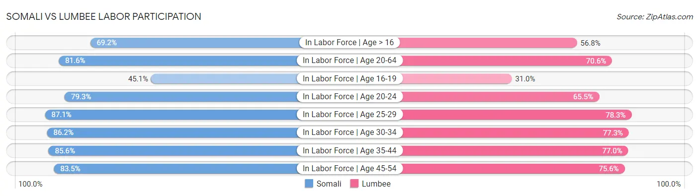 Somali vs Lumbee Labor Participation