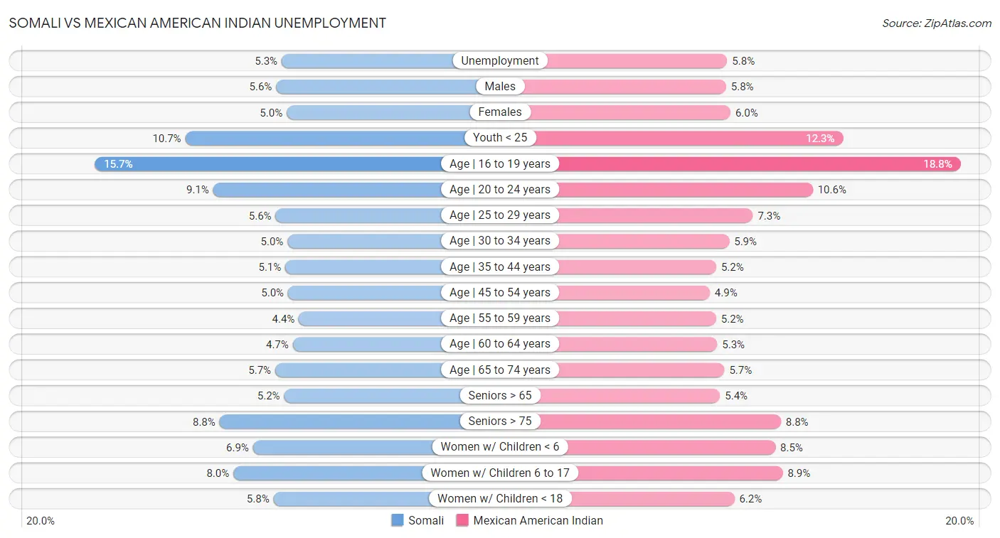 Somali vs Mexican American Indian Unemployment
