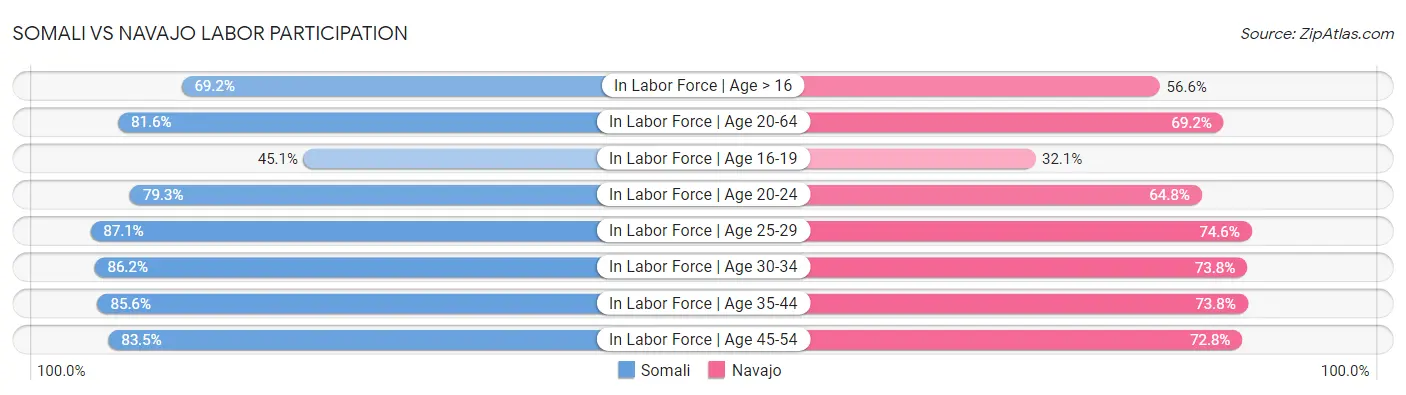 Somali vs Navajo Labor Participation