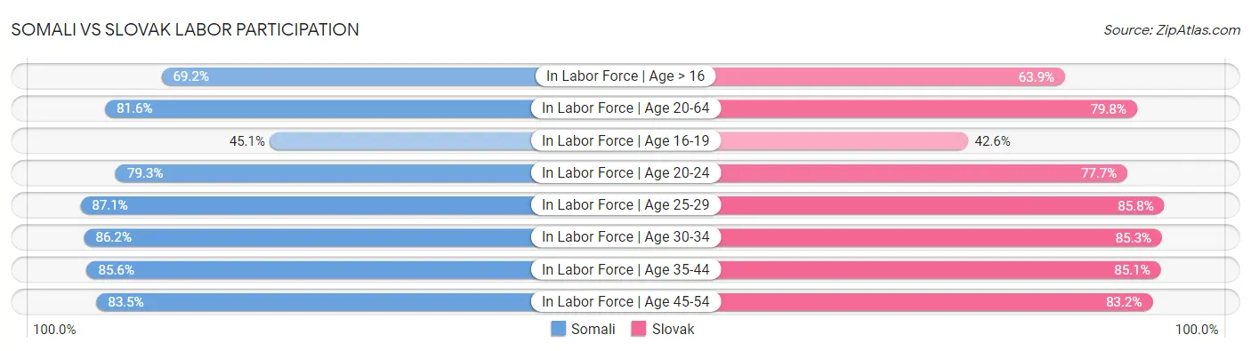 Somali vs Slovak Labor Participation