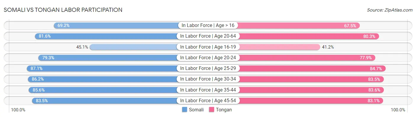 Somali vs Tongan Labor Participation